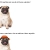 pugsdabest's avatar