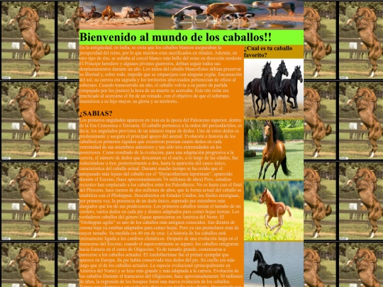pagina1 screenshot