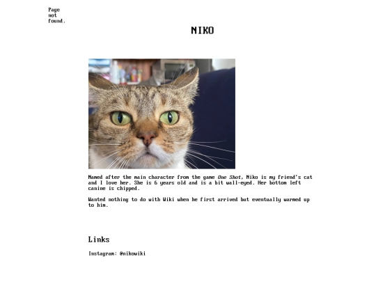cats/niko screenshot