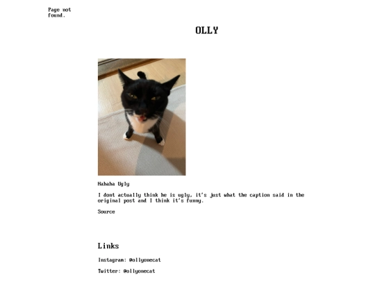 cats/olly screenshot