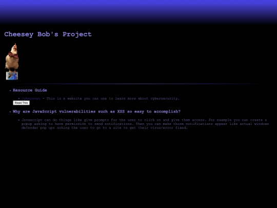 project screenshot