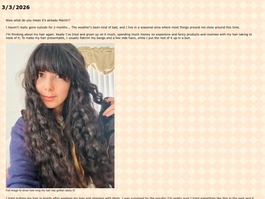 Journal_030326 screenshot