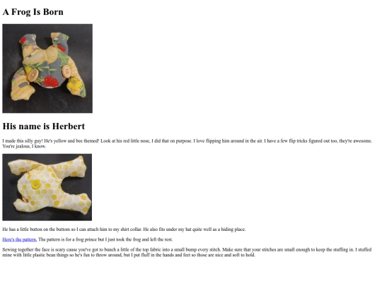 blog/frog-blog-post screenshot