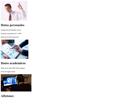 Proyectoprimero/curriculum screenshot