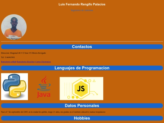 CurriculumTrabajo/CurriculumLuis screenshot