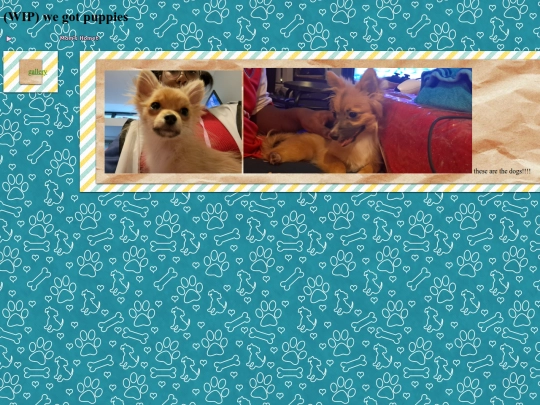 pets!!!/omg pets screenshot