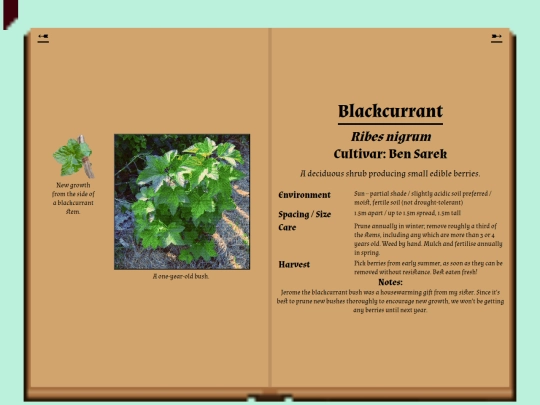 garden/herbarium/blackcurrant screenshot
