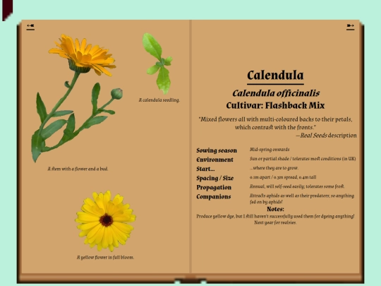 garden/herbarium/calendula screenshot