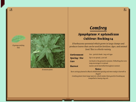 garden/herbarium/comfrey screenshot