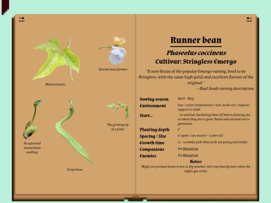 garden/herbarium/runnerbean screenshot