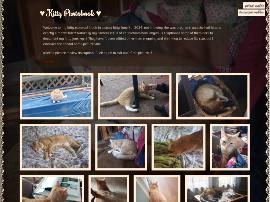 kittie screenshot
