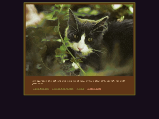 peaceful/cat screenshot