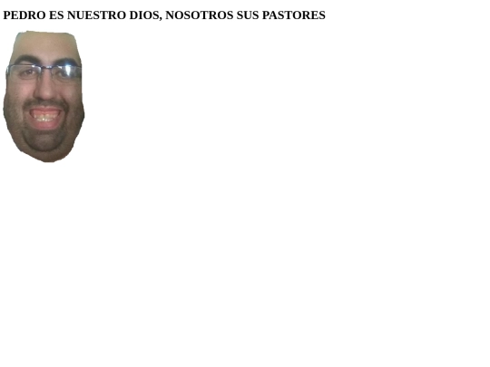bonito screenshot