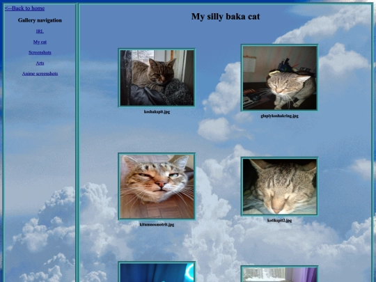 gallery/mycat screenshot