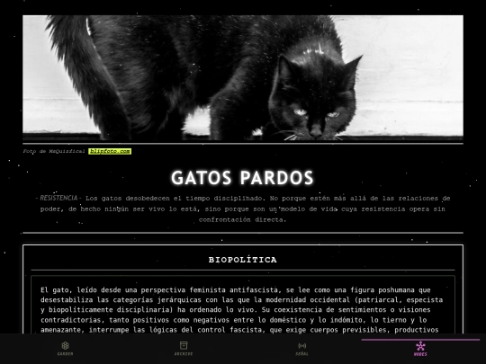 gatos-pardos screenshot
