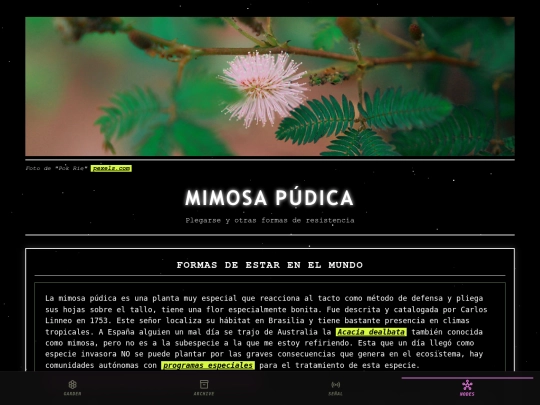 mimosa-pudica screenshot