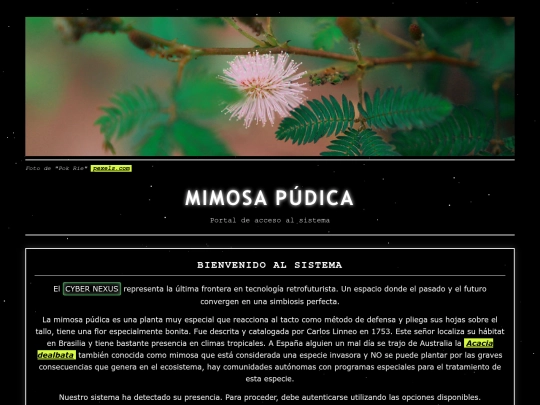 retro-index-2 screenshot