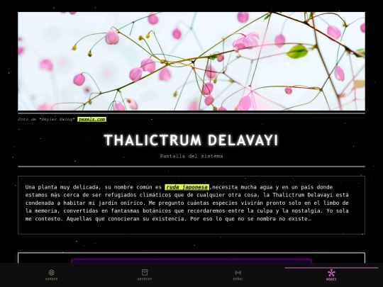 thalictrum-delavayi screenshot