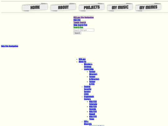 nsa screenshot