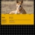 DINGO avatar
