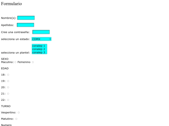 formulario screenshot