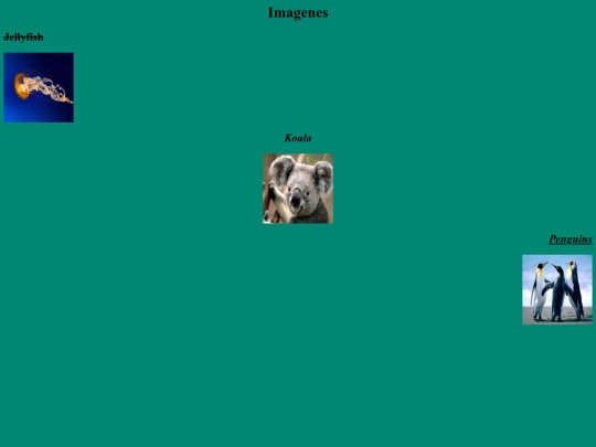 pagina screenshot