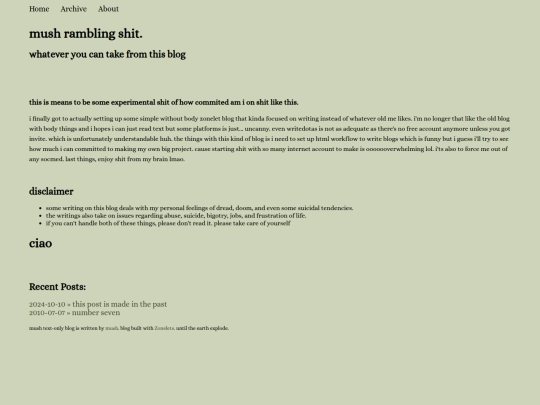 blog screenshot