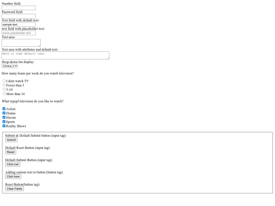 form.example screenshot