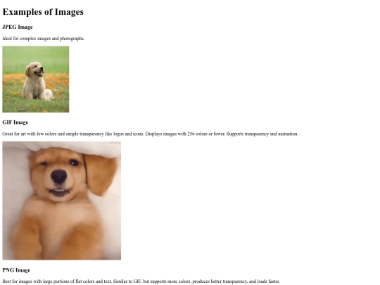 images-example/images-example screenshot