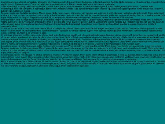 lorem-ipsum 2 screenshot