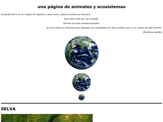practica5/Practica5 screenshot