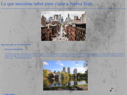 proyecto/pagina_de_NY screenshot