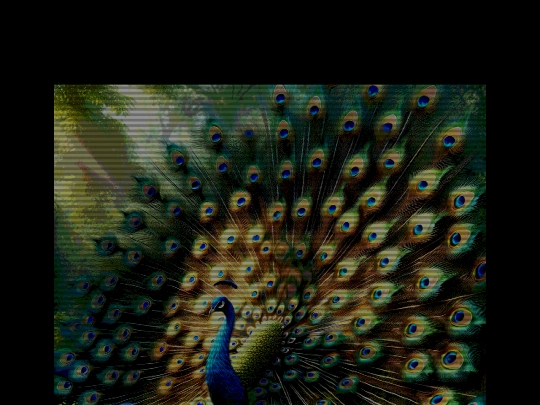 css-crt-effect screenshot