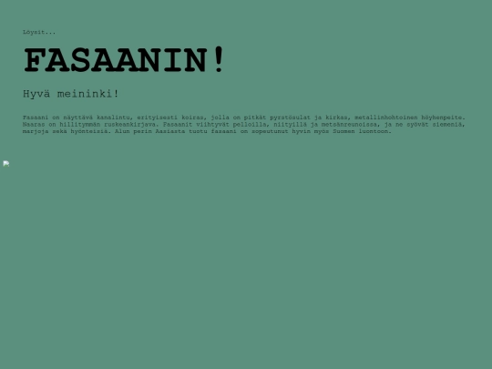 grid-drawings/students/lintubongaus_2000/fasaani screenshot