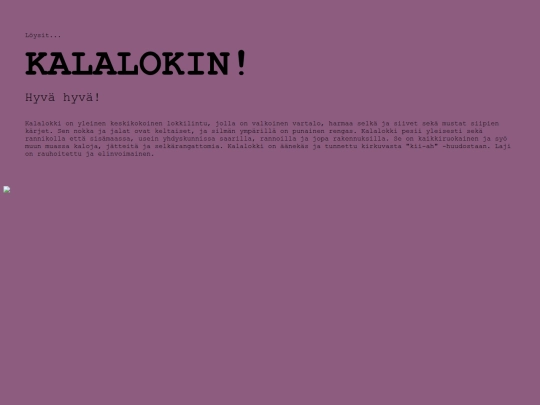 grid-drawings/students/lintubongaus_2000/kalalokki screenshot