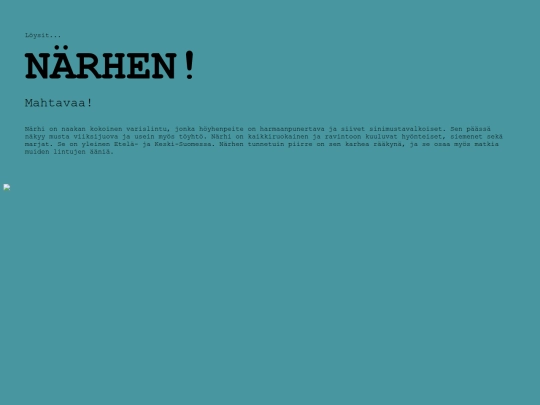 grid-drawings/students/lintubongaus_2000/narhi screenshot