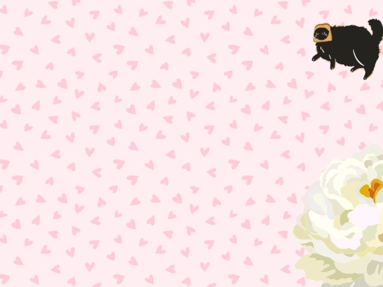 lala screenshot