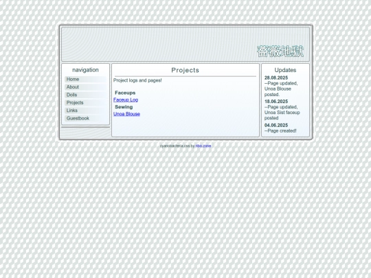 projects screenshot