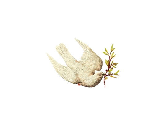 angel screenshot