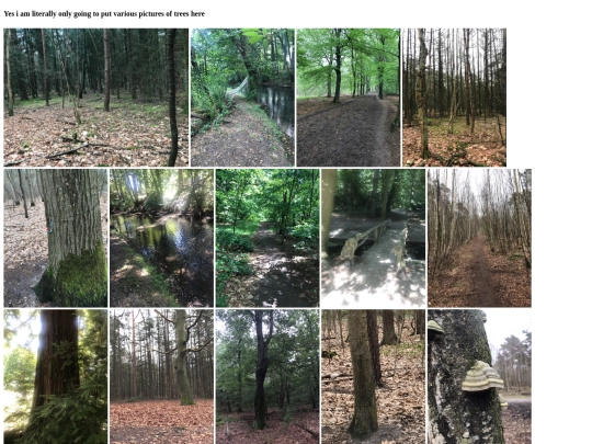 TREES screenshot