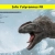 Info Yutyrannus FR avatar