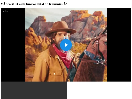 video screenshot