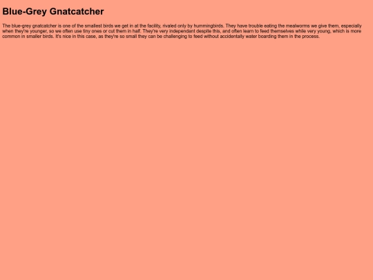 BirdRoom/BGGN screenshot
