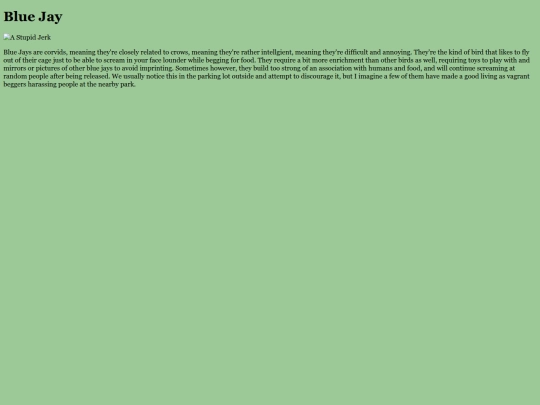 BirdRoom/BLJA screenshot