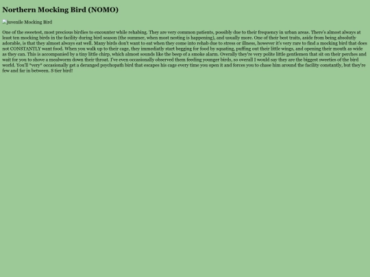 BirdRoom/NOMO screenshot