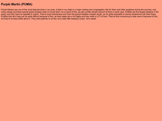 BirdRoom/PUMA screenshot