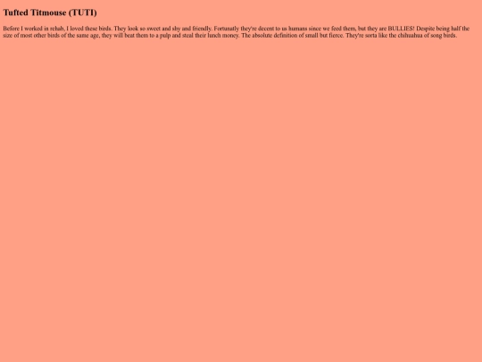 BirdRoom/TUTI screenshot