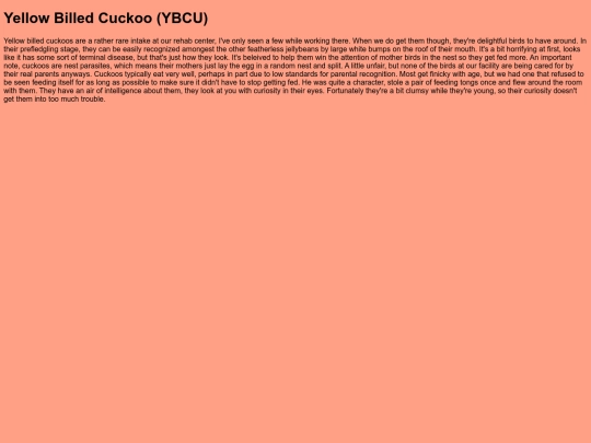 BirdRoom/YBCU screenshot