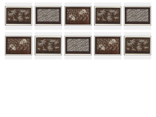 photoview screenshot