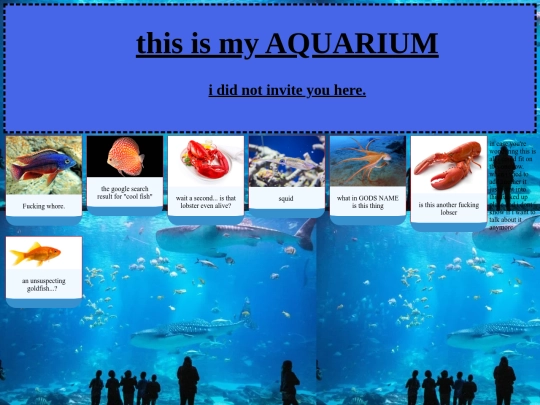 aequarium screenshot